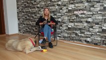 Görme engelli köpek için ev kiralayan genç kadın
