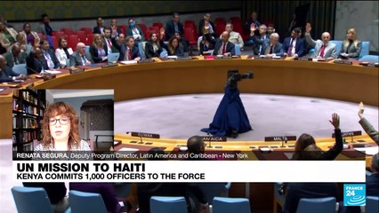 'Haitians very divided' over new mission given 'complicated history' of UN's previous interventions