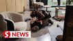 Bangkok mall shooting: Premeditated murder among charges faced by teen gunman