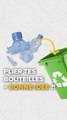 Écraser ou Non Écraser : Démystifions le Recyclage des Bouteilles en Plastique !