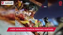 Çöpe atılan yavru kediler, belediye temizlik personelinin dikkati sayesinde kurtuldu