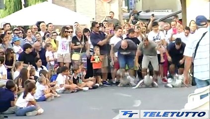 Tải video: Video News - CORSA DELLE OCHE A CALVISANO