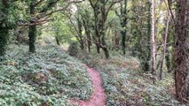 Bexhill Down, in East Sussex, on October 4 2023