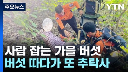 "사람 잡는 가을 버섯"...능이버섯 따던 등산객 1명 또 추락사 / YTN