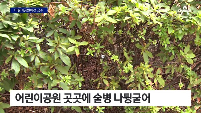 어린이공원서 음주 땐 과태료 최대 10만 원