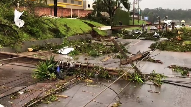 Temporal: Postes e árvores caem no Trevo da Portal e trânsito fica lento