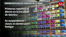 Suspensión de clases en la UNAM por plaga de chinches