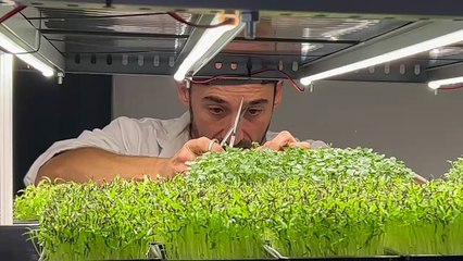 Néopouss’ sous la place Arnaud Bernard de Toulouse