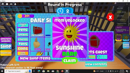 Playing mega hide and seek-roblox