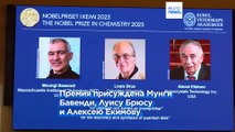 Нобелевская премия по химии присуждена Мунги Бавенди, Луиcу Брюсу и Алексею Екимову