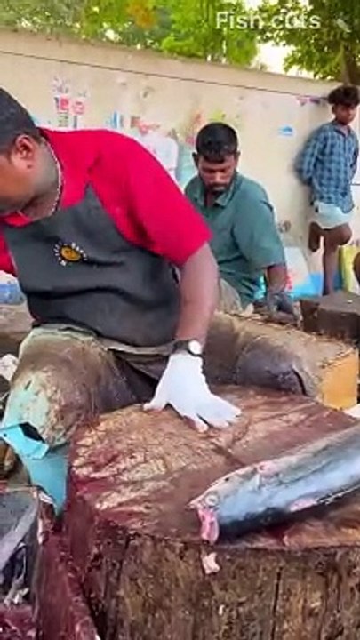 KASIMEDU SPEED SELVAM FISH CUTTING VIDEO _ FISH CUTS @kasimeduselvam @shorts