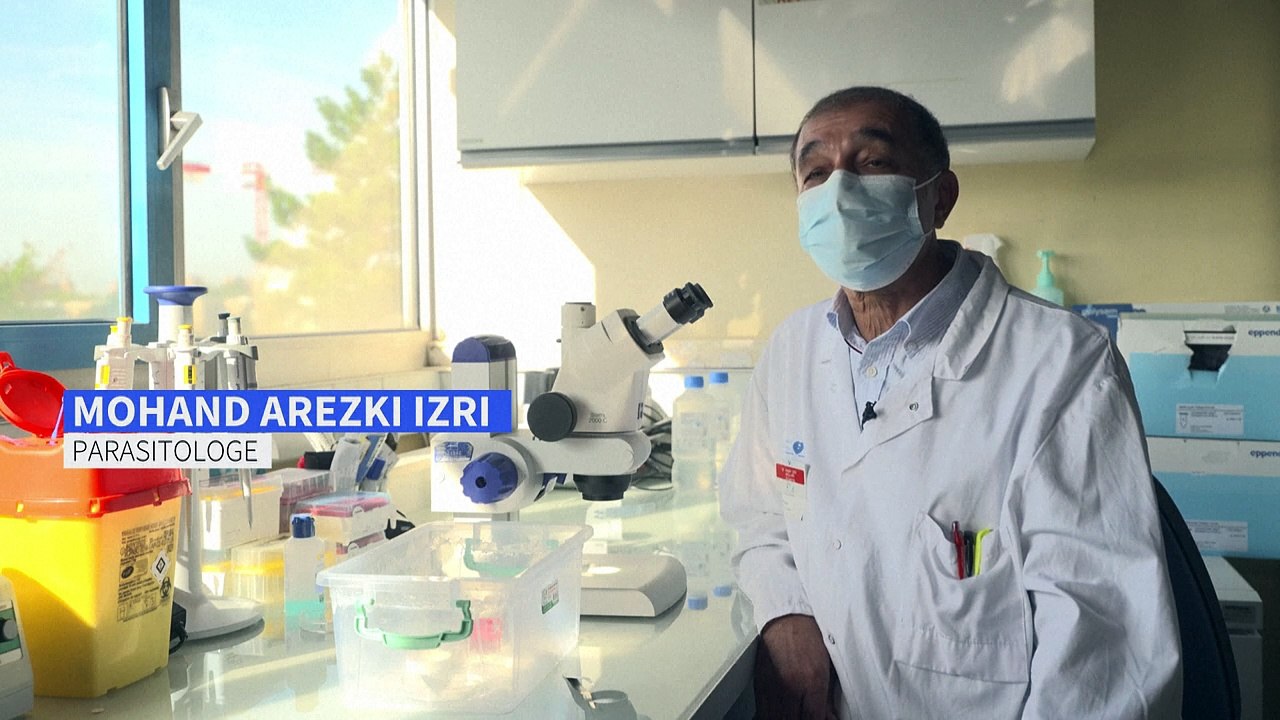 "bettwanzen sind die hölle"