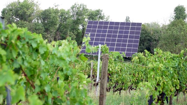 Los alumnos de la UAX lanzan un microsatélite que analiza el impacto del cambio climático en bosques