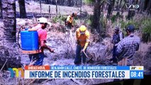 Informe de incendios forestales