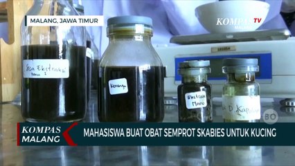 Keren! Inovasi Mahasiswa UM, Buat Obat Semprot Skabies Pada Kucing
