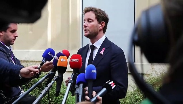 El Gobierno francés dice que no hay casos confirmados de chinches en metros o trenes