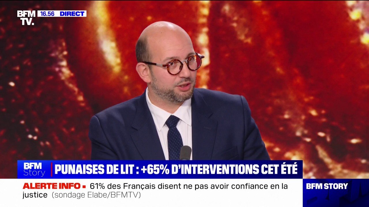 Punaises de lit: "Il faut qu'on puisse imposer le fait d'entrer dans les logements pour les traiter", estime Ludovic Mendes (Renaissance)