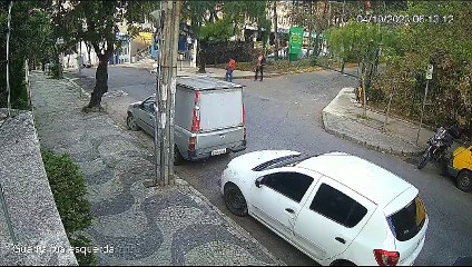 Guarda Municipal atira em pitbull após ser atacado dentro de parque em BH