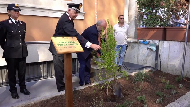 Ospedali più green, al via il progetto Un albero per la salute