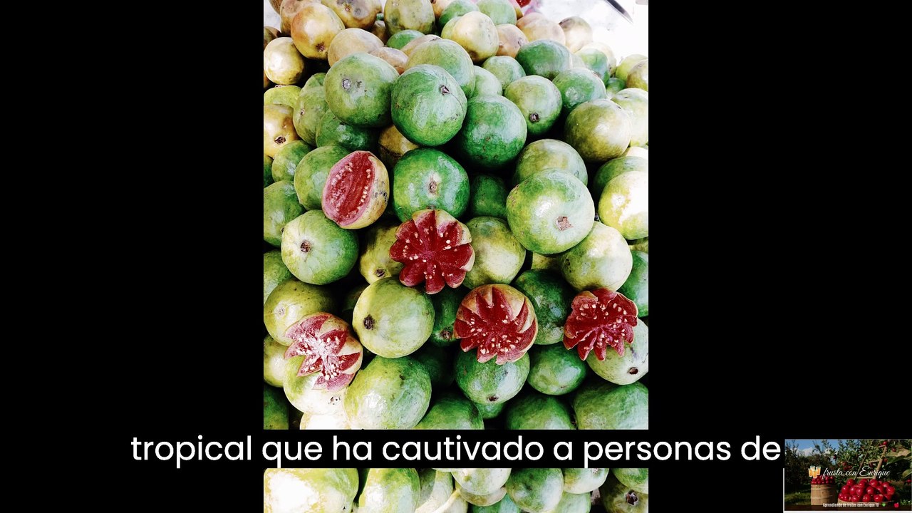 La Guayaba un tesoro tropicalde sabor y salud