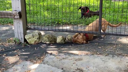 Elle ne pourra jamais être séparée de ses parents