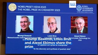 Bawendi, Brus and Ekimov win Nobel Prize in Chemistry for quantum dot technology