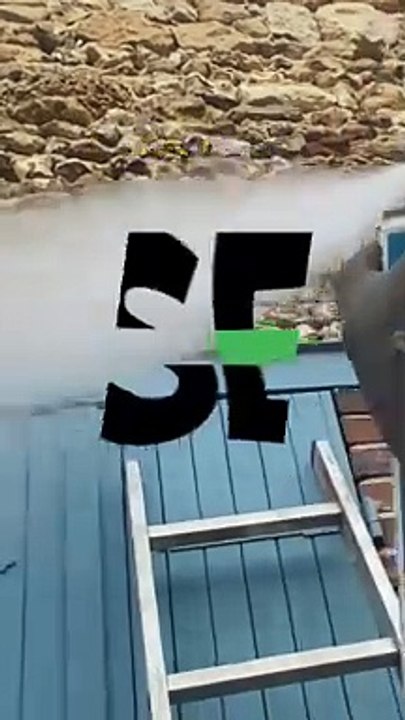 L’arme imparable contre les nids de guêpes et de frelons 