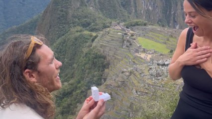 Man proposes to his life's love with a Llama in the backdrop *Wholesome Video*