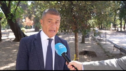 Ambiente, Pecoraro: piantare alberi non simbolico, oggi serve