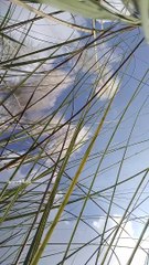 Kolkata Durga Puja 2023 coming Soon