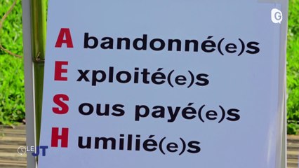 Le JT - 04/10/23 - Sandra Lavorel, Semaine Bleue, AESH, BDL - Le JT - TéléGrenoble