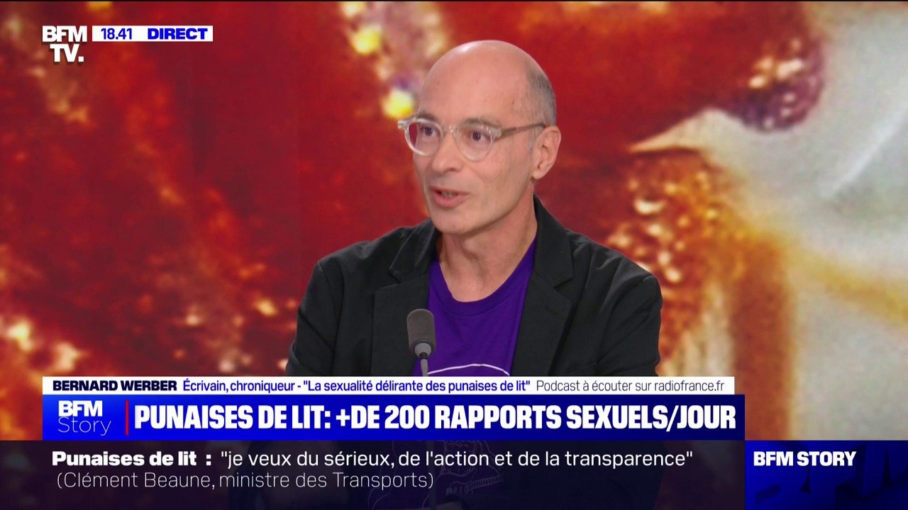 Bernard Werber (auteur de "La sexualité délirante des punaises de lit"): "Les punaises de lit ont plus de 200 rapports sexuels par jour"