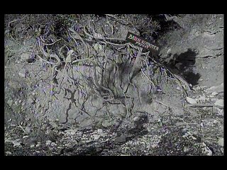 Ostrva (1963) Domaci film