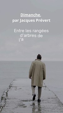 Poème : Dimanche, par Jacques Prévert