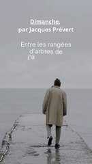 Poème : Dimanche, par Jacques Prévert