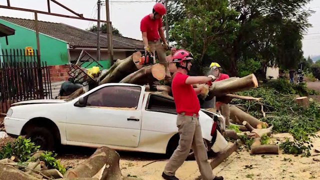 Corpo de Bombeiros realiza corte de árvores que caíram sobre carros no Santa Cruz