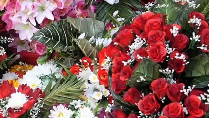 Flores e bem-estar: veja cinco benefícios