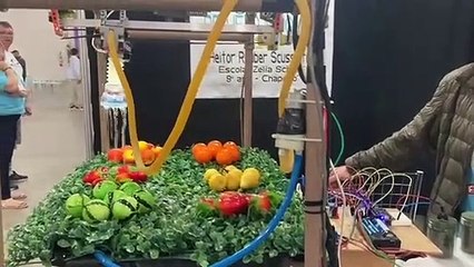 Estudante de Chapecó monta irrigador de plantas automatizado para feira em Joinville