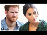 Meghan Markle dovrebbe “abbandonare il titolo reale” se vuole farcela come politica