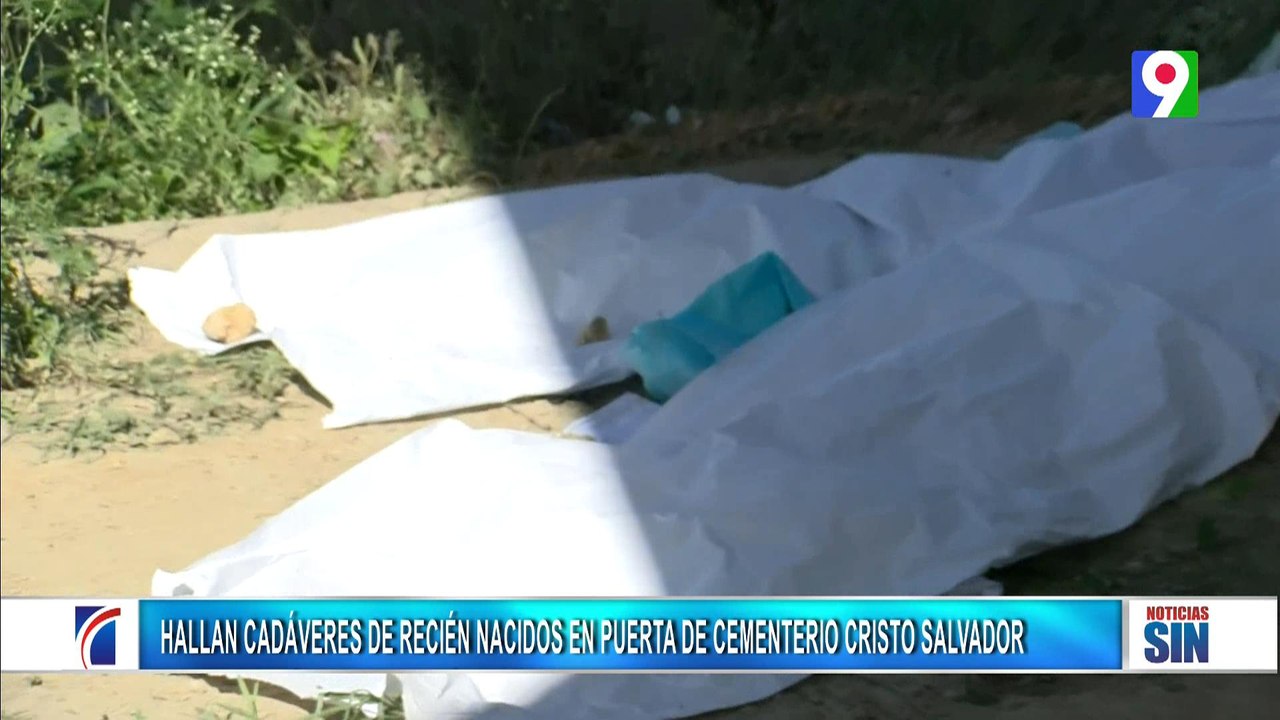 Hallan cadáveres de recién nacidos frente cemen...