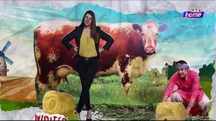 _ KHATTA MEETHA _ EPISODE 72 _ PTV HOME _