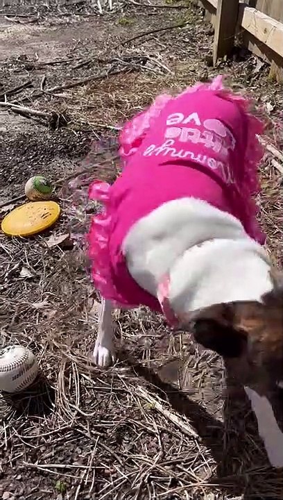 Princess snooper vises garden weeding