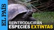 Reintroducirán especies extintas en las islas Galápagos