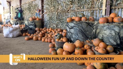 What’s on guide: arts festivals and halloween fun