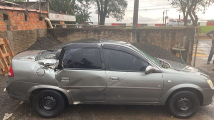 Vídeo: árvore cai e atinge veículo em movimento; motorista sai ileso