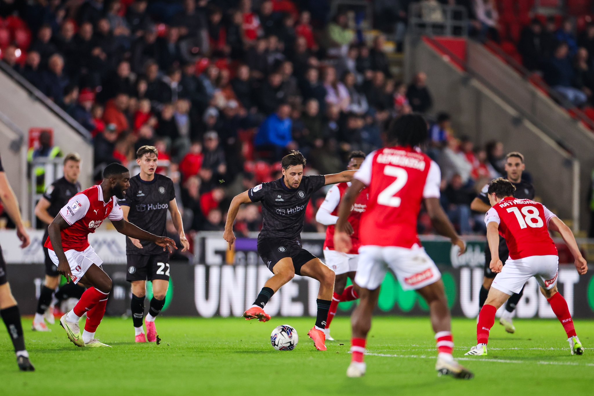 Rotheram v Bristol City | EFL Championship 23/24 | Match Highlights