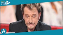 Johnny Hallyday, mort de l’un de ses fidèles amis : “Bonne route vers le ciel…”