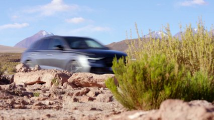 7 Reasons Why Audi Built the Wild New 2019 Q8