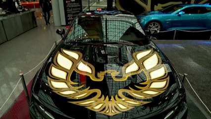 7 Reasons Why You Need a Trans Am Drag Racer