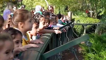 L'amour des animaux a été inculqué aux enfants